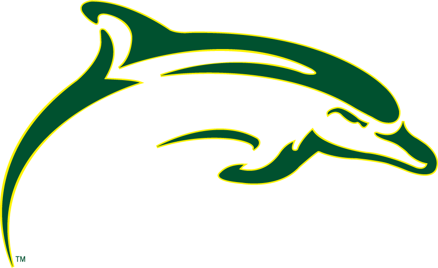 Le Moyne Dolphins 2008-Pres Secondary Logo diy DTF decal sticker